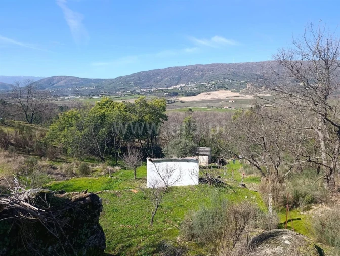 Terreno para Venda em Belmonte e Colmeal da Torre Foto 13