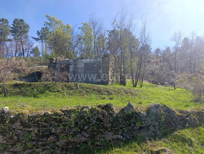 Terreno para Venda em Belmonte e Colmeal da Torre Foto 18