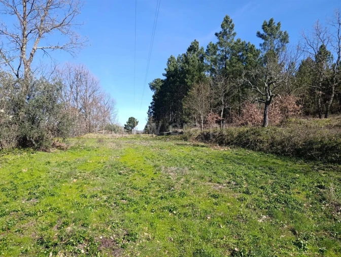 Terreno para Venda em Belmonte e Colmeal da Torre Foto 5