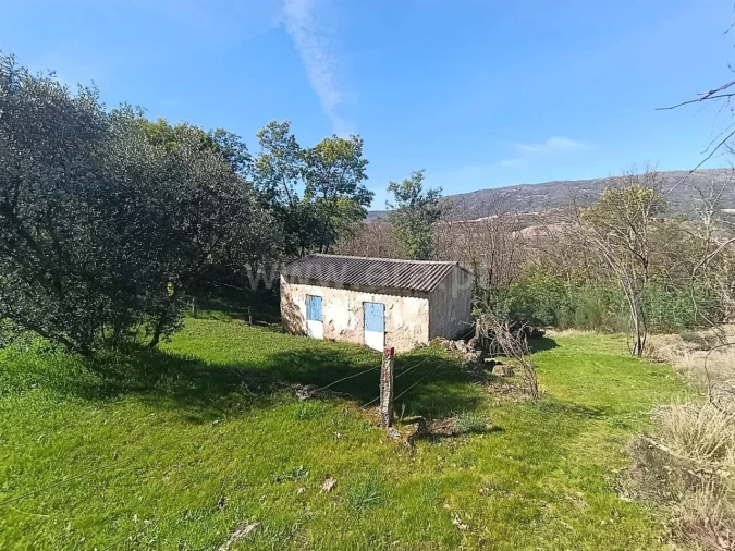 Terreno para Venda em Belmonte e Colmeal da Torre Foto 1