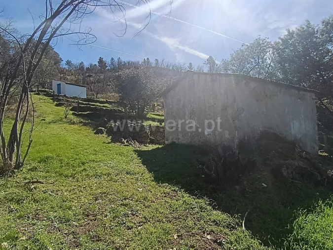 Terreno para Venda em Belmonte e Colmeal da Torre Foto 10