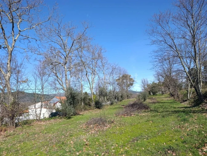 Terreno para Venda em Belmonte e Colmeal da Torre Foto 14
