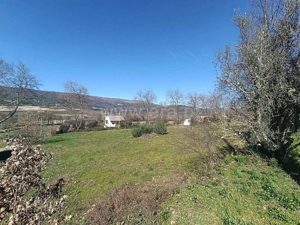 Terreno para Venda em Belmonte e Colmeal da Torre Foto 3