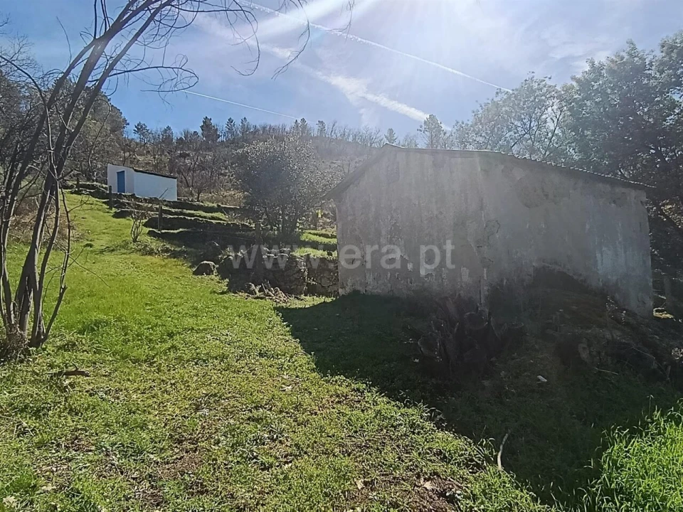 Terreno para Venda em Belmonte e Colmeal da Torre Foto 10