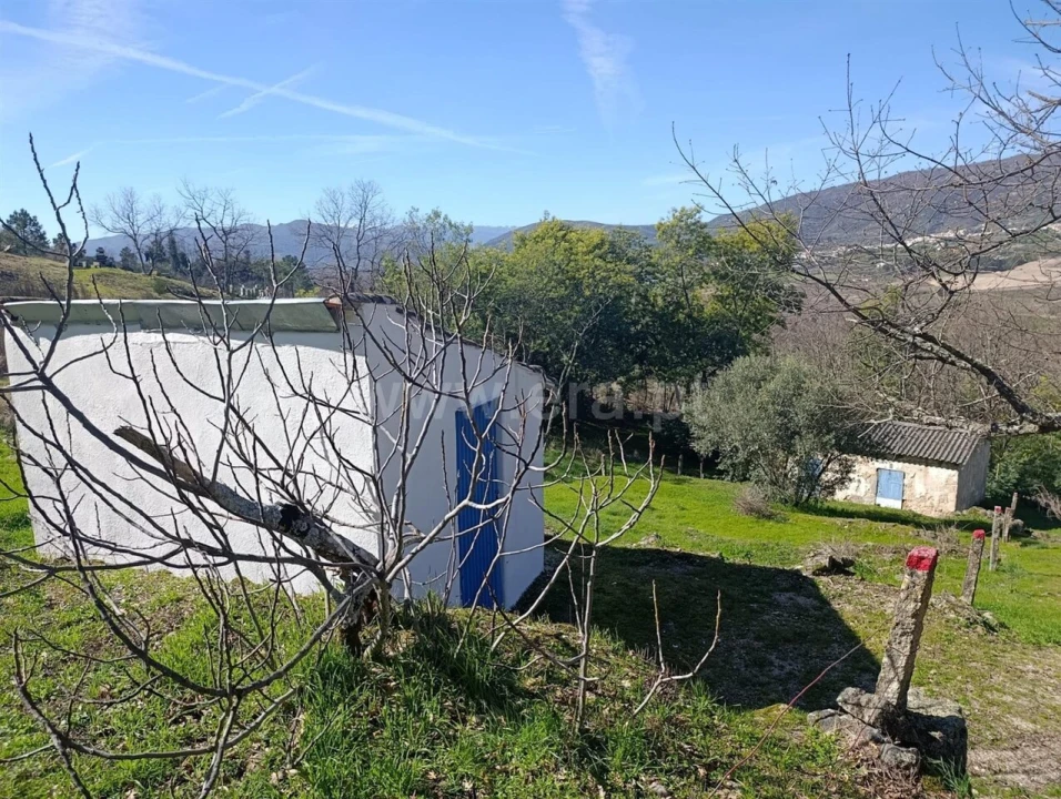Terreno para Venda em Belmonte e Colmeal da Torre Foto 17