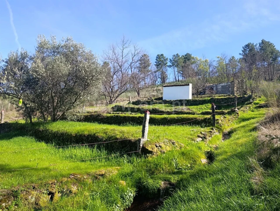 Terreno para Venda em Belmonte e Colmeal da Torre Foto 19