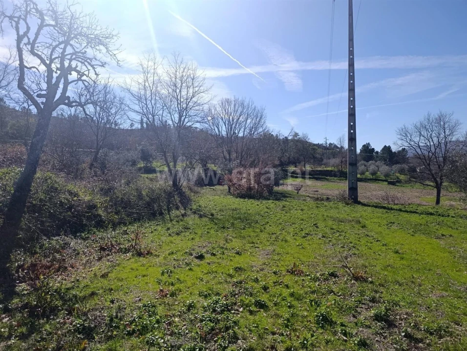 Terreno para Venda em Belmonte e Colmeal da Torre Foto 6