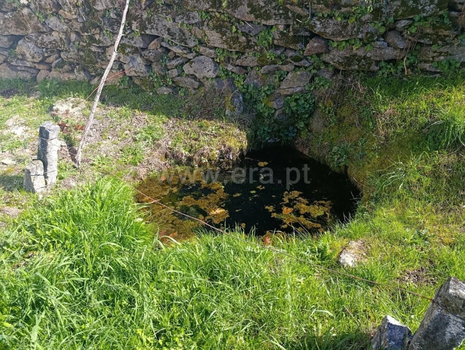 Terreno para Venda em Belmonte e Colmeal da Torre Foto 20