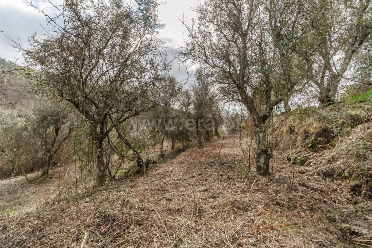 Moradia T2 para Venda em Teixoso e Sarzedo Foto 16