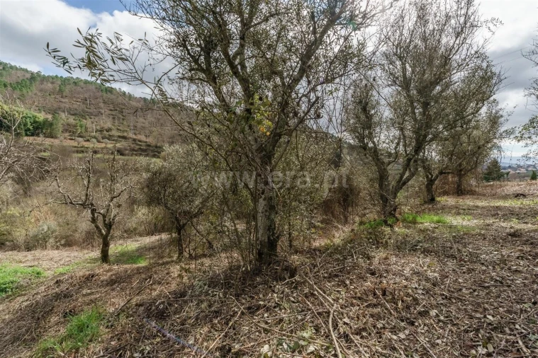 Moradia T2 para Venda em Teixoso e Sarzedo Foto 14