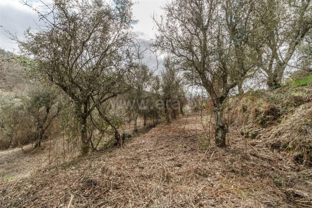 Moradia T2 para Venda em Teixoso e Sarzedo Foto 16