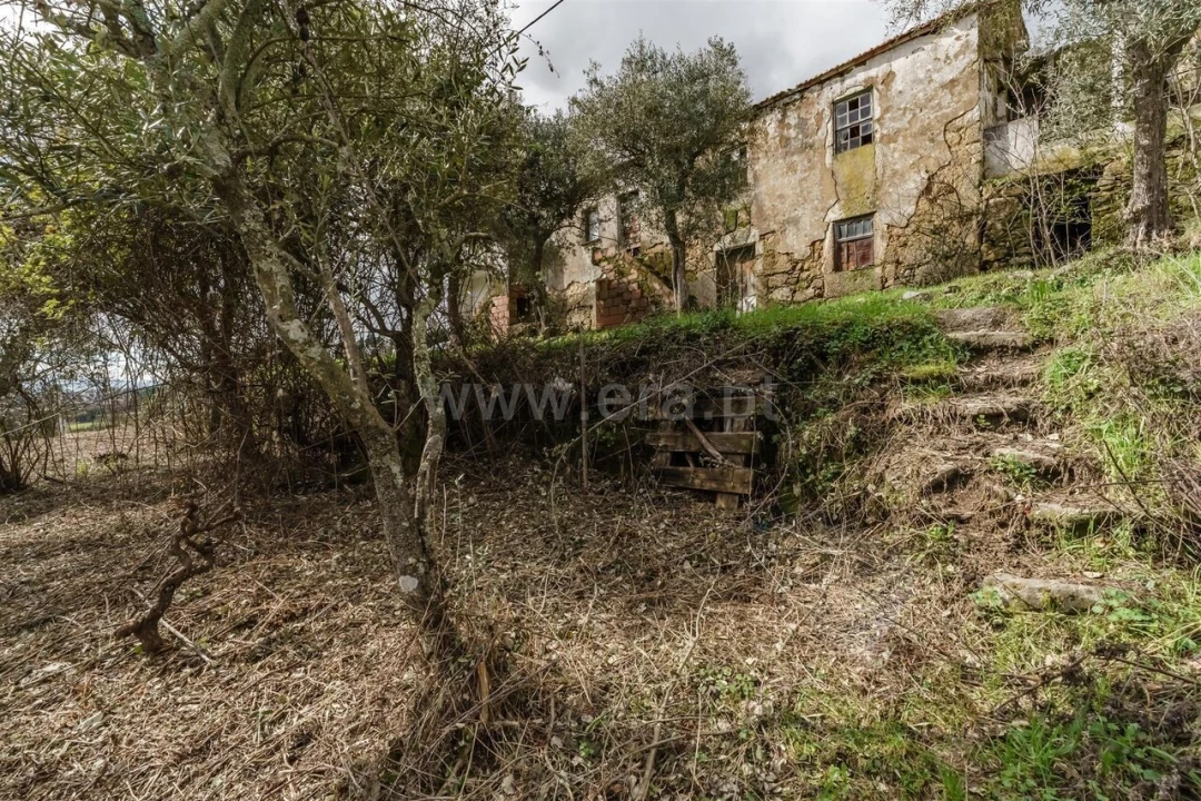 Moradia T2 para Venda em Teixoso e Sarzedo Foto 13