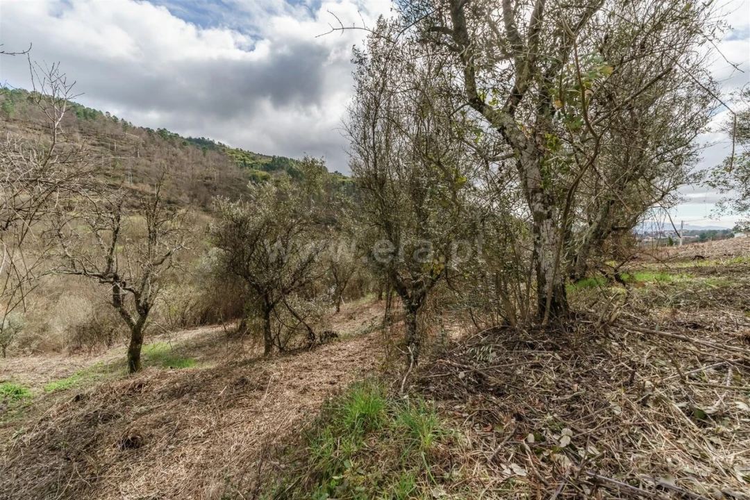 Moradia T2 para Venda em Teixoso e Sarzedo Foto 15