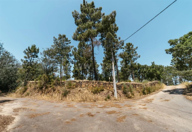 Quinta T0 para Venda em Casegas e Ourondo Foto 2