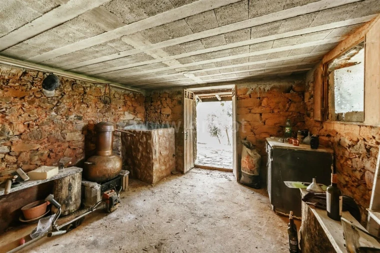 Quinta T0 para Venda em Casegas e Ourondo Foto 16