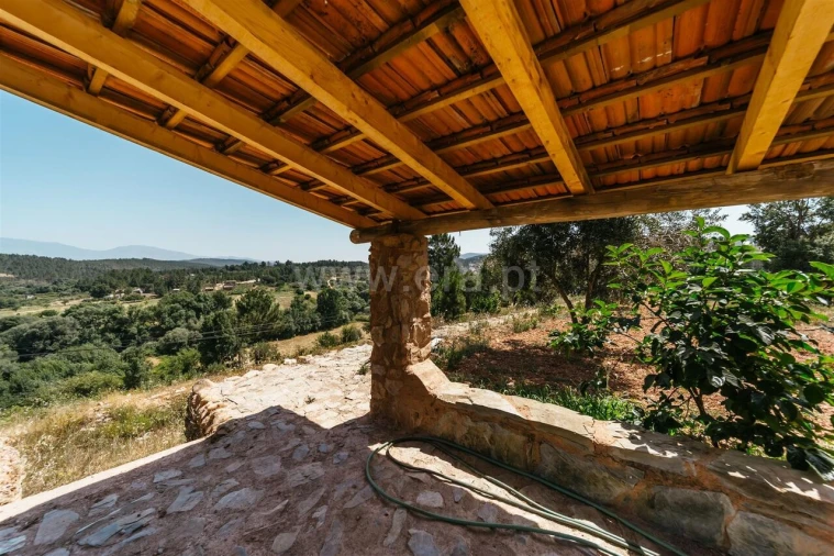 Quinta T0 para Venda em Casegas e Ourondo Foto 9