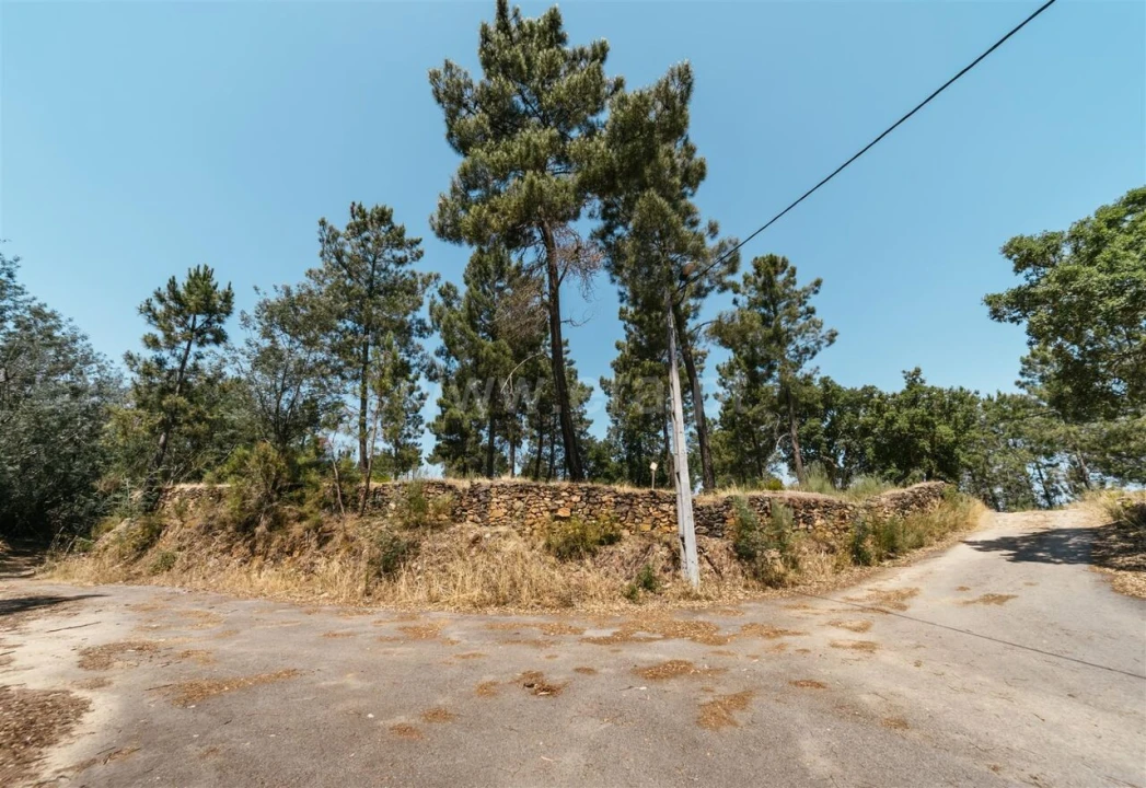 Quinta T0 para Venda em Casegas e Ourondo Foto 2