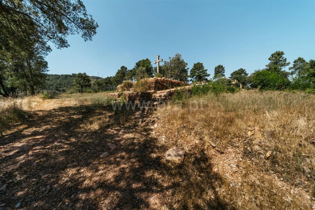 Quinta T0 para Venda em Casegas e Ourondo Foto 4