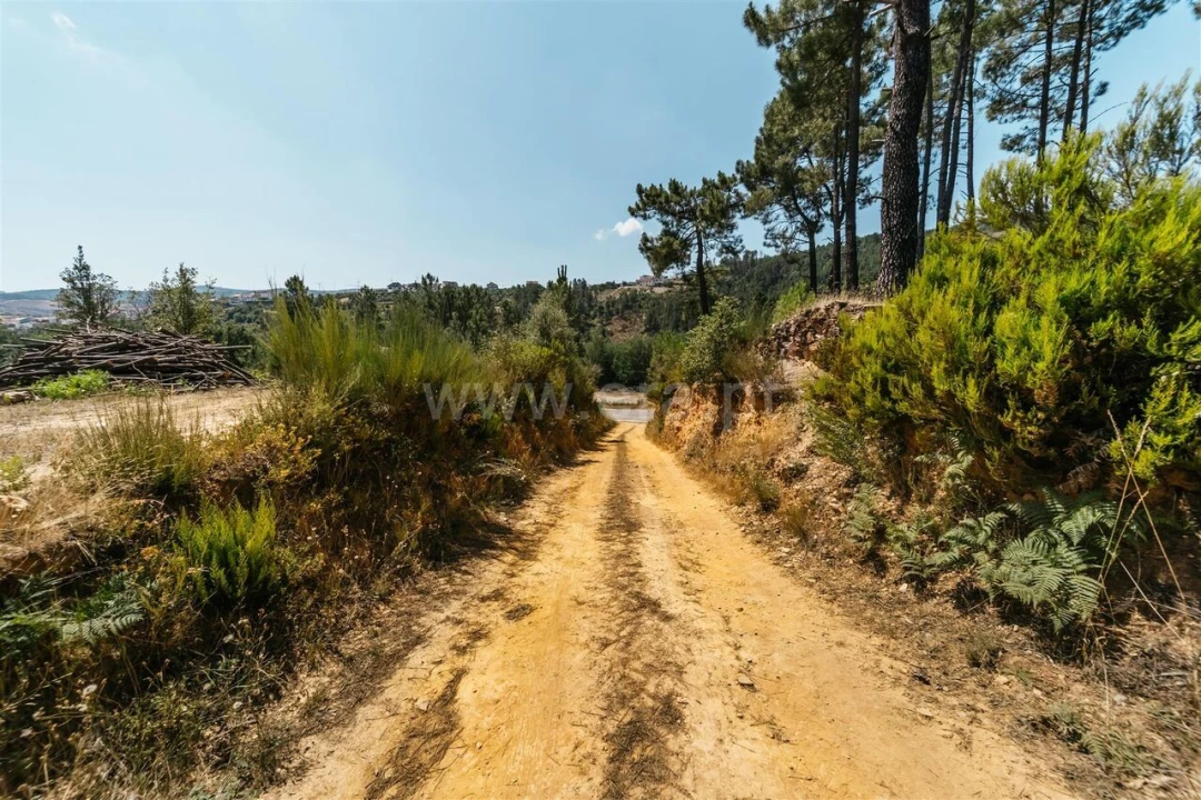 Quinta T0 para Venda em Casegas e Ourondo Foto 18