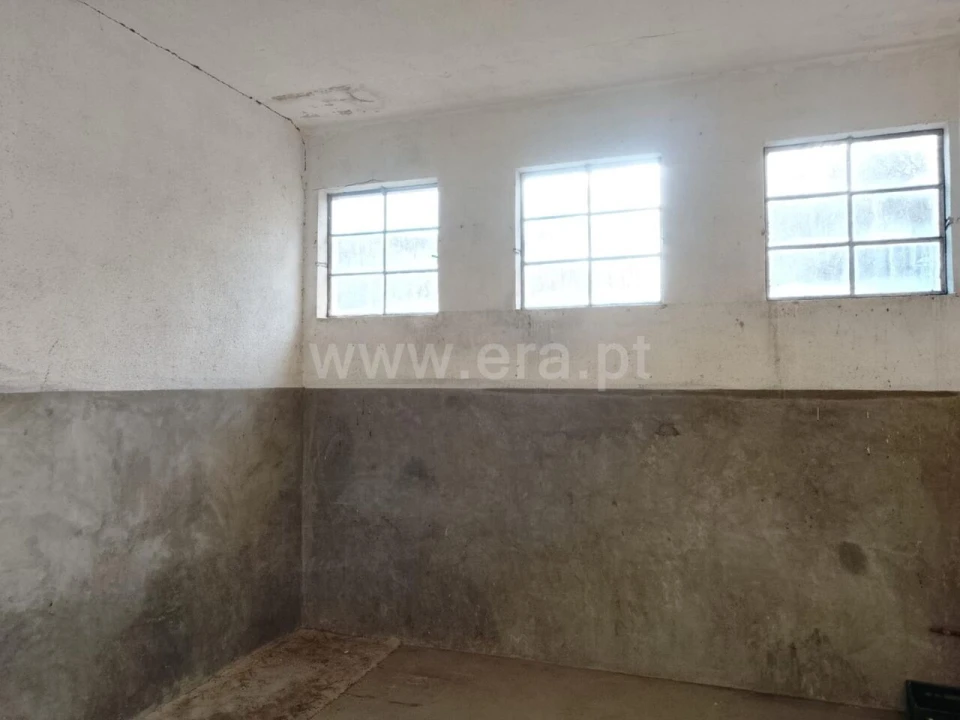 Armazém para Venda em Covilhã e Canhoso Foto 9