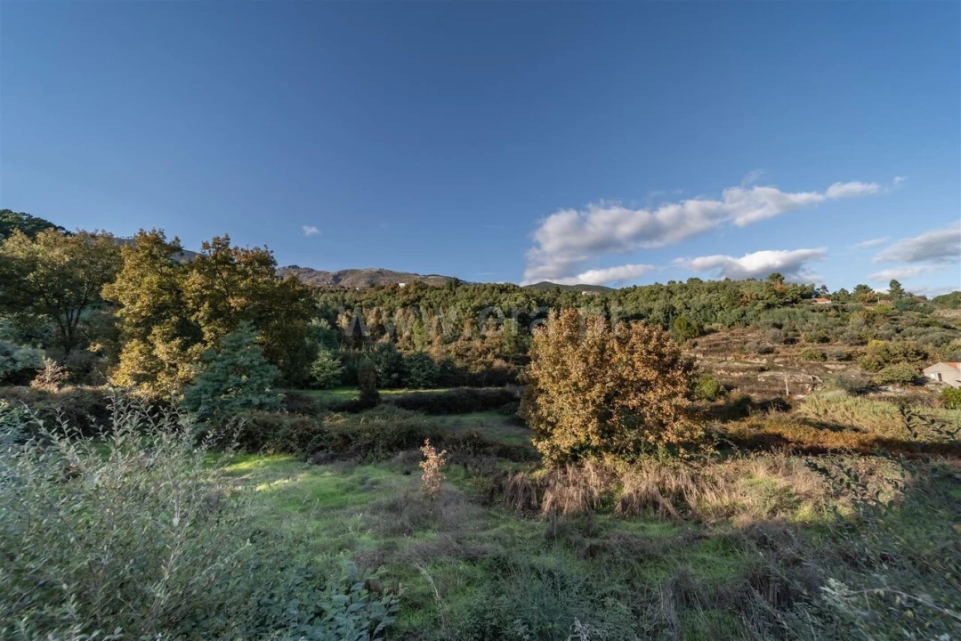 Terreno para Venda em Covilhã e Canhoso Foto 18