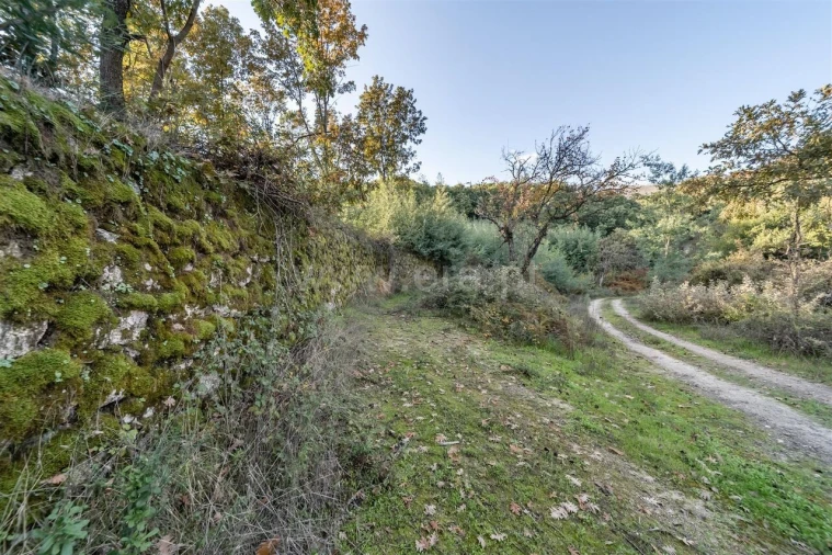 Terreno para Venda em Covilhã e Canhoso Foto 16