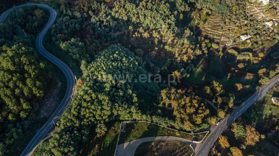 Terreno para Venda em Covilhã e Canhoso Foto 11