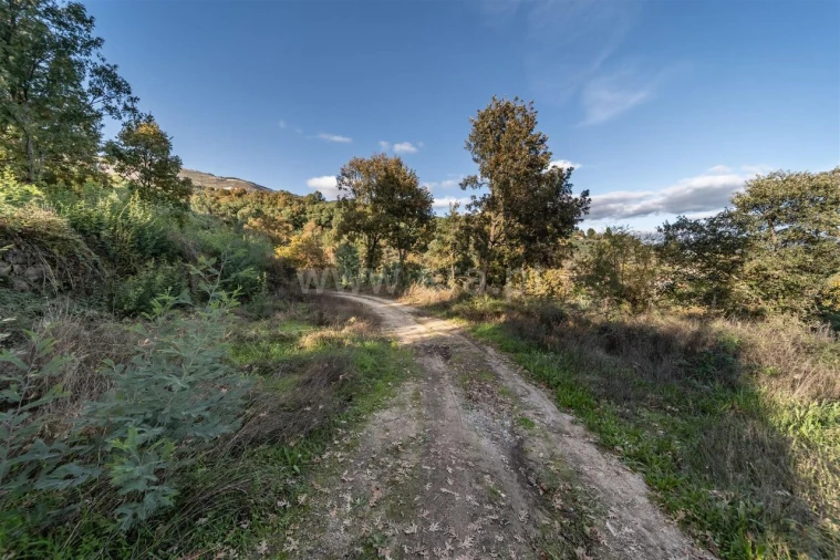 Terreno para Venda em Covilhã e Canhoso Foto 14