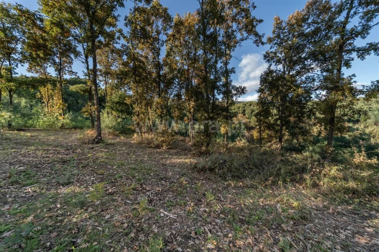 Terreno para Venda em Covilhã e Canhoso Foto 19