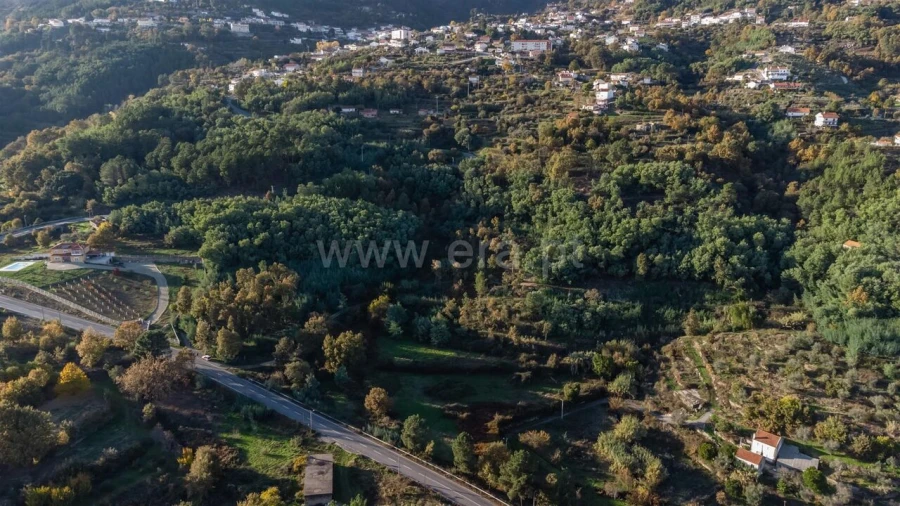 Terreno para Venda em Covilhã e Canhoso Foto 2