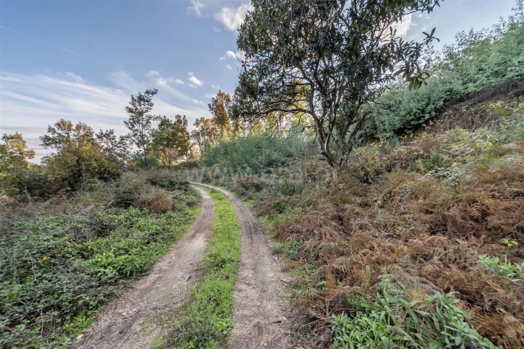 Terreno para Venda em Covilhã e Canhoso Foto 17