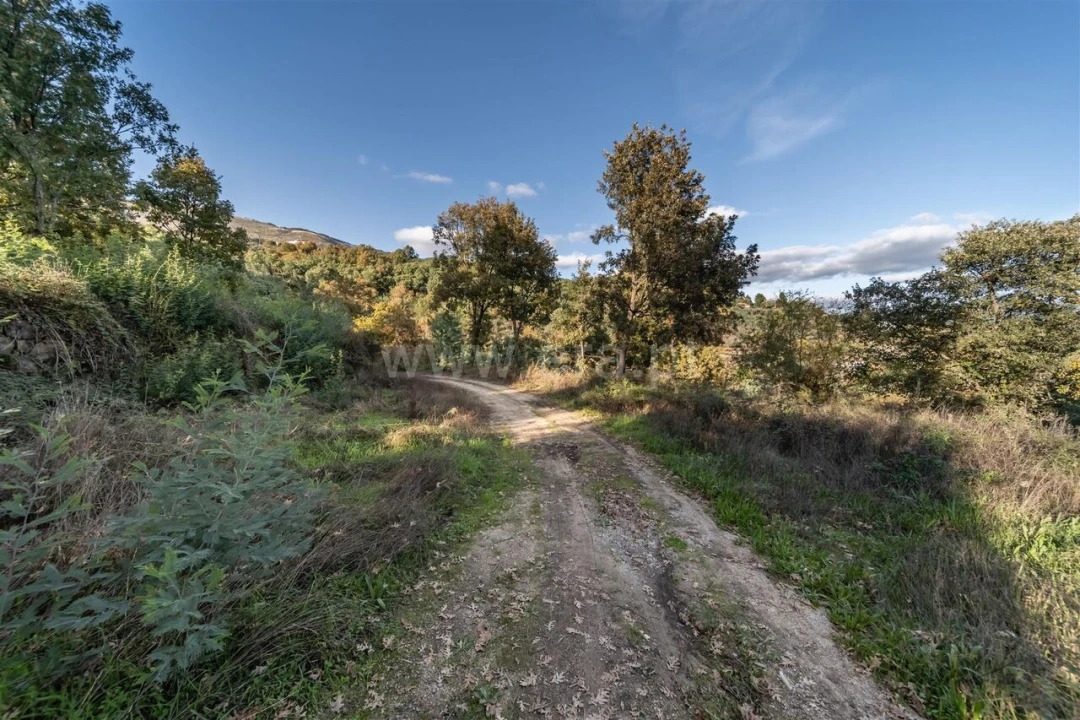 Terreno para Venda em Covilhã e Canhoso Foto 14