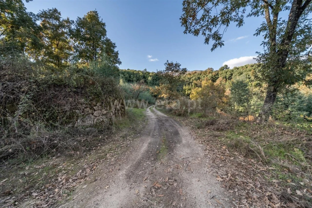 Terreno para Venda em Covilhã e Canhoso Foto 15