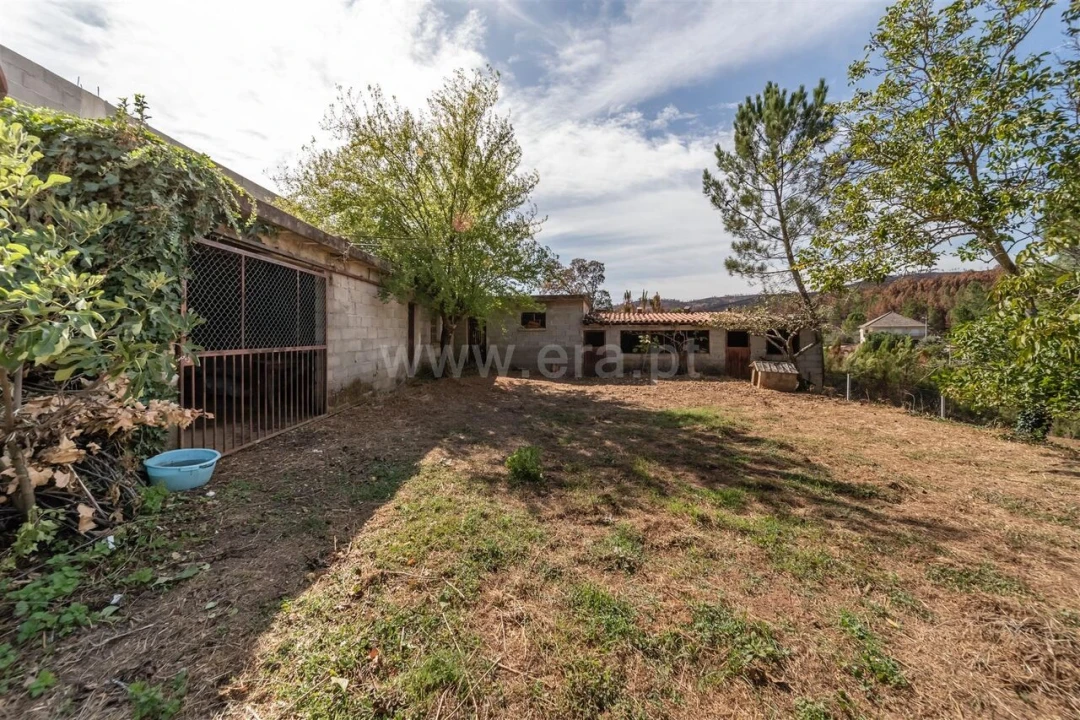 Moradia T4 para Venda em Barco e Coutada Foto 4