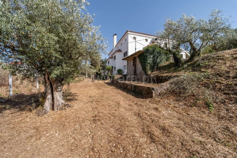 Moradia T4 para Venda em Barco e Coutada Foto 5