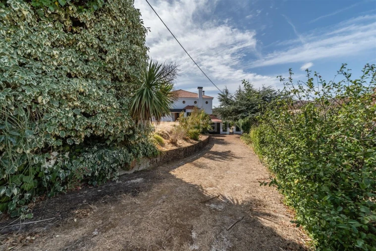 Moradia T4 para Venda em Barco e Coutada Foto 13