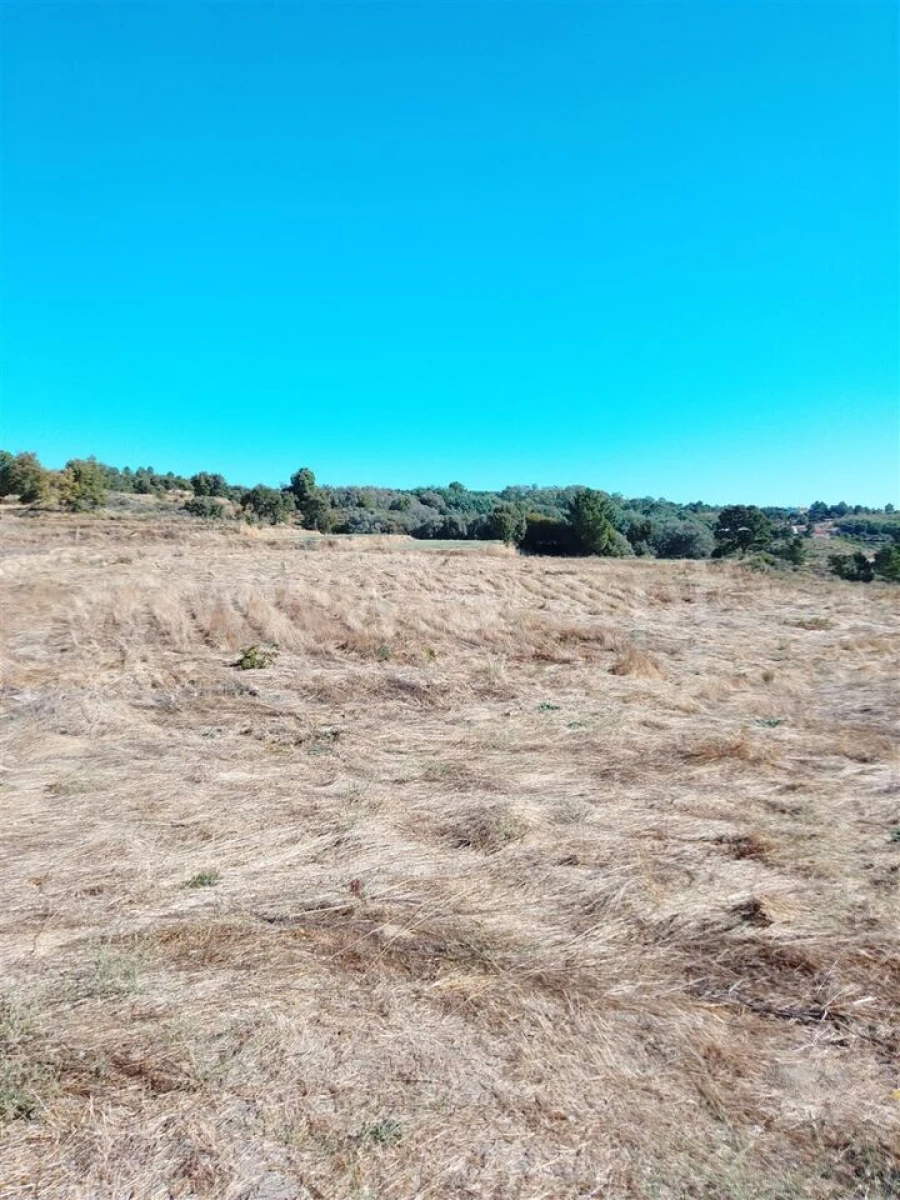Quinta T3 para Venda em Teixoso e Sarzedo Foto 16