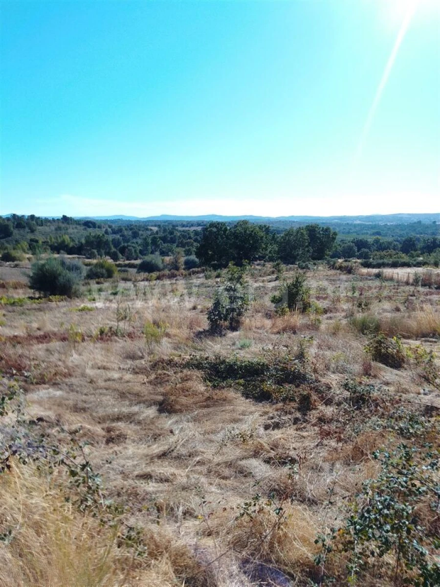 Quinta T3 para Venda em Teixoso e Sarzedo Foto 19