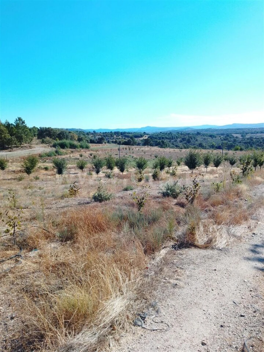 Quinta T3 para Venda em Teixoso e Sarzedo Foto 11