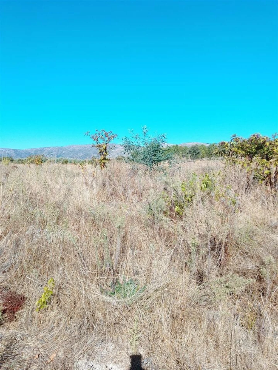 Quinta T3 para Venda em Teixoso e Sarzedo Foto 18