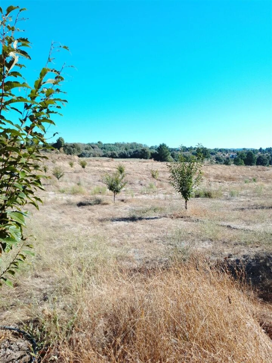 Quinta T3 para Venda em Teixoso e Sarzedo Foto 15