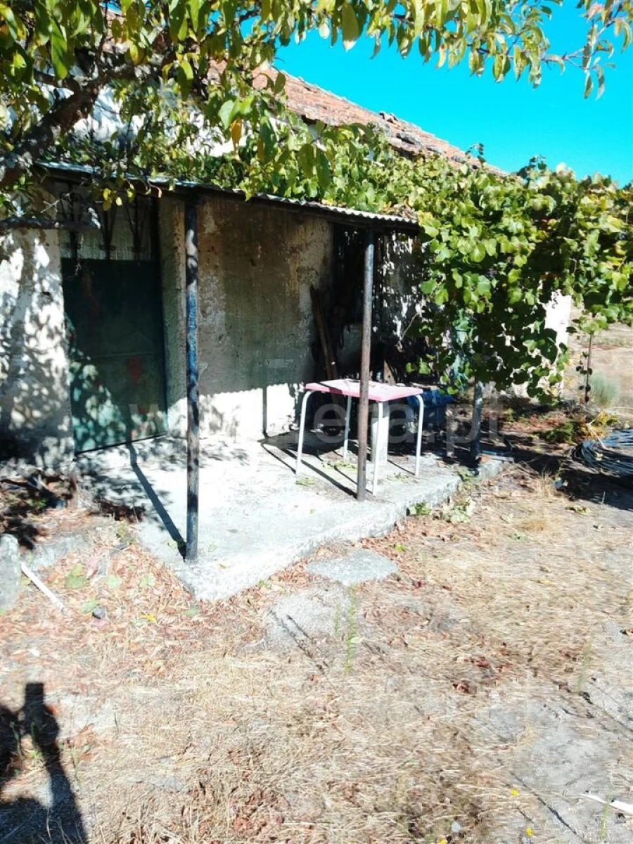 Quinta T3 para Venda em Teixoso e Sarzedo Foto 3