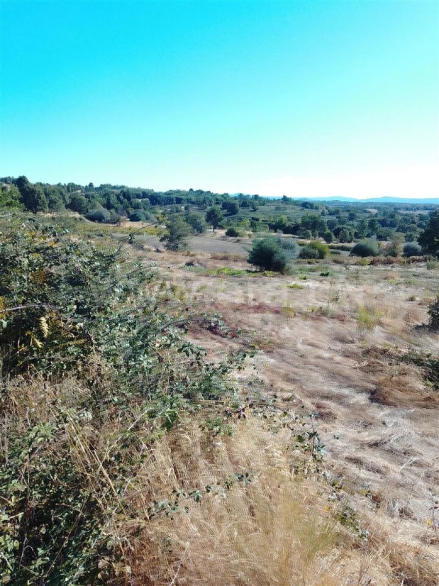 Quinta T3 para Venda em Teixoso e Sarzedo Foto 20