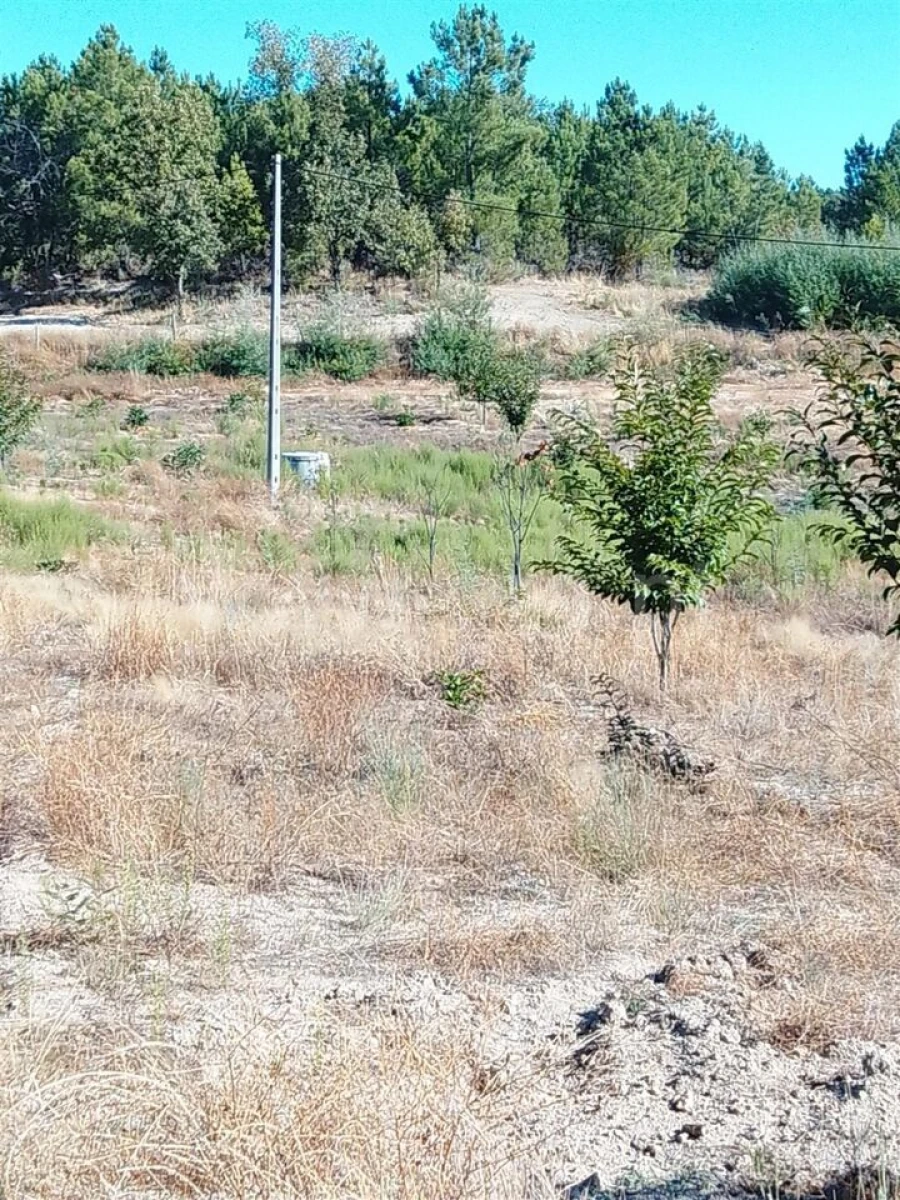 Quinta T3 para Venda em Teixoso e Sarzedo Foto 12