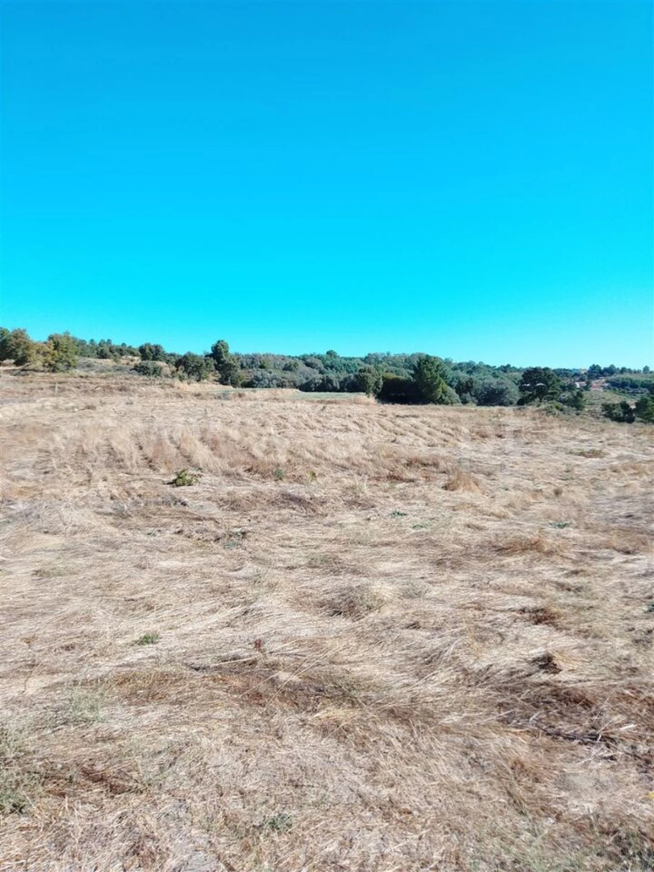 Quinta T3 para Venda em Teixoso e Sarzedo Foto 16
