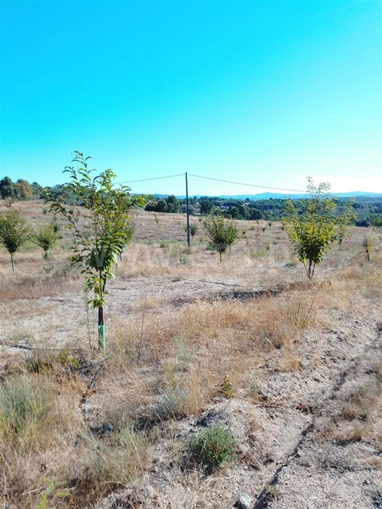 Quinta T3 para Venda em Teixoso e Sarzedo Foto 13
