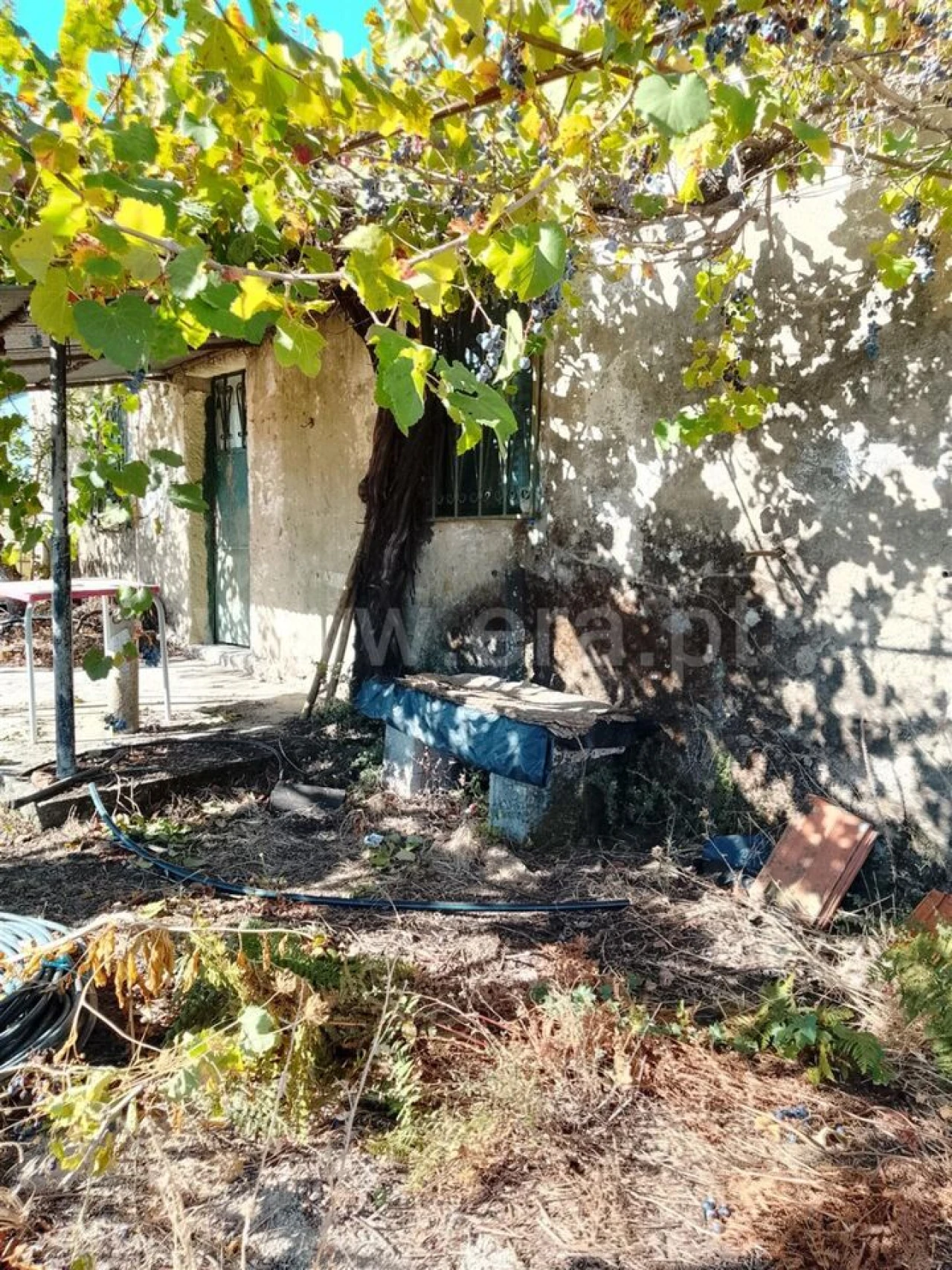 Quinta T3 para Venda em Teixoso e Sarzedo Foto 4