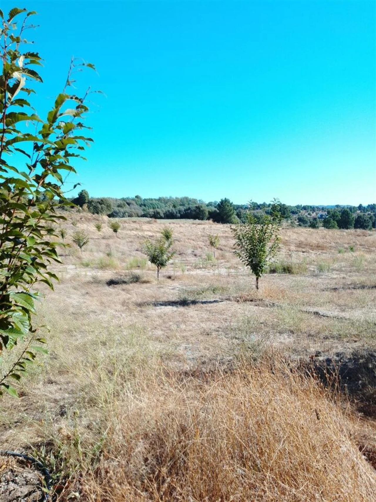 Quinta T3 para Venda em Teixoso e Sarzedo Foto 15