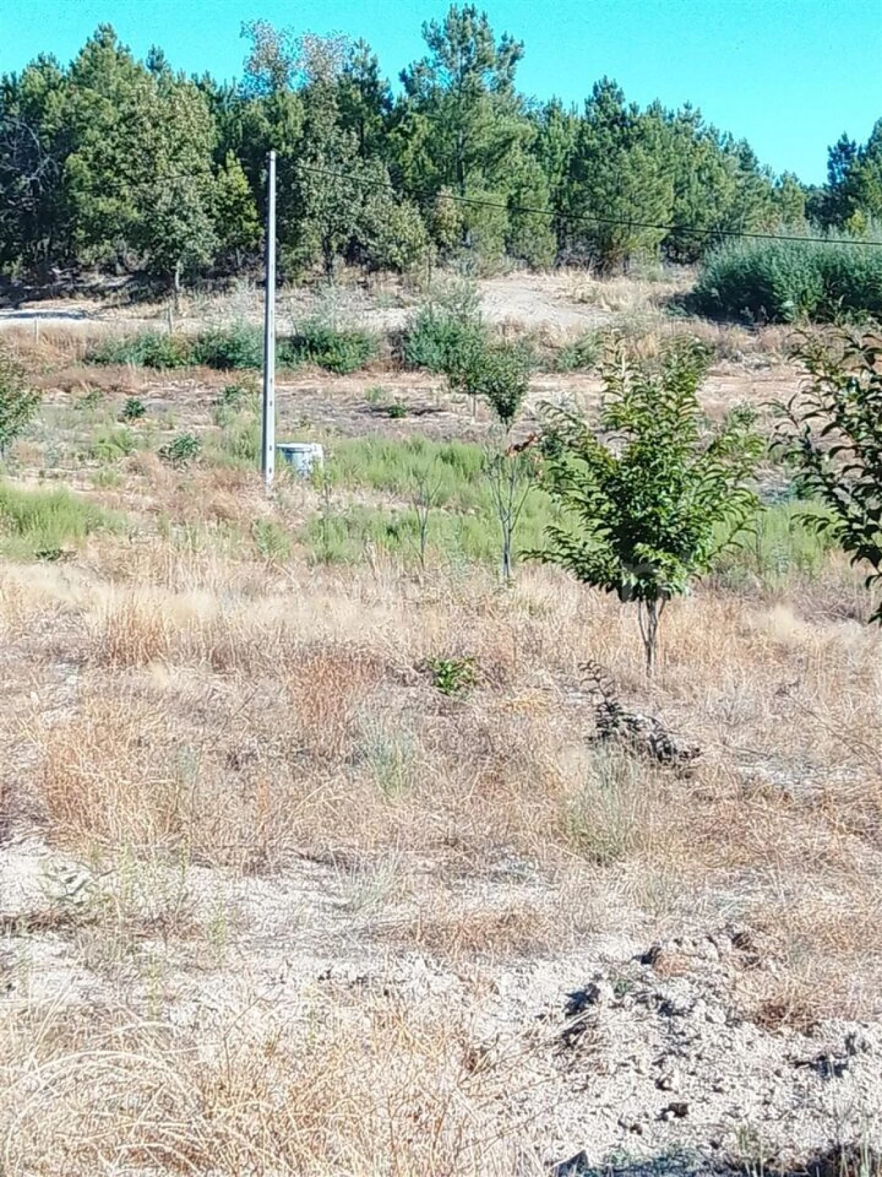 Quinta T3 para Venda em Teixoso e Sarzedo Foto 12