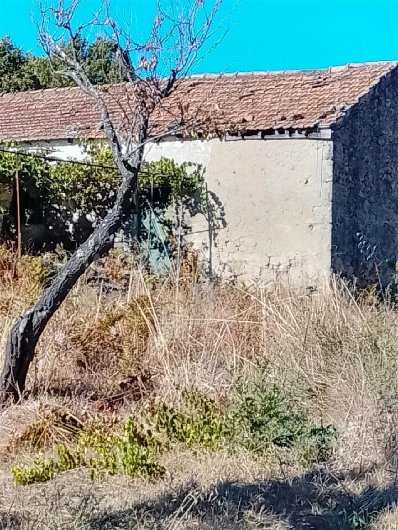 Quinta T3 para Venda em Teixoso e Sarzedo Foto 9